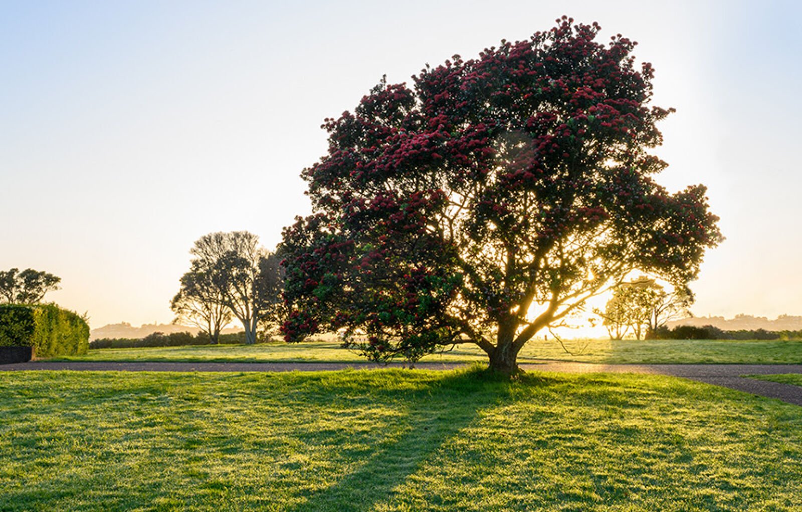 Discover Mt Eden’s Best Sunrise Spots: A Guide for Seniors