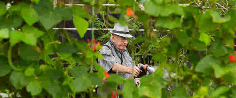 man-in-the-garden