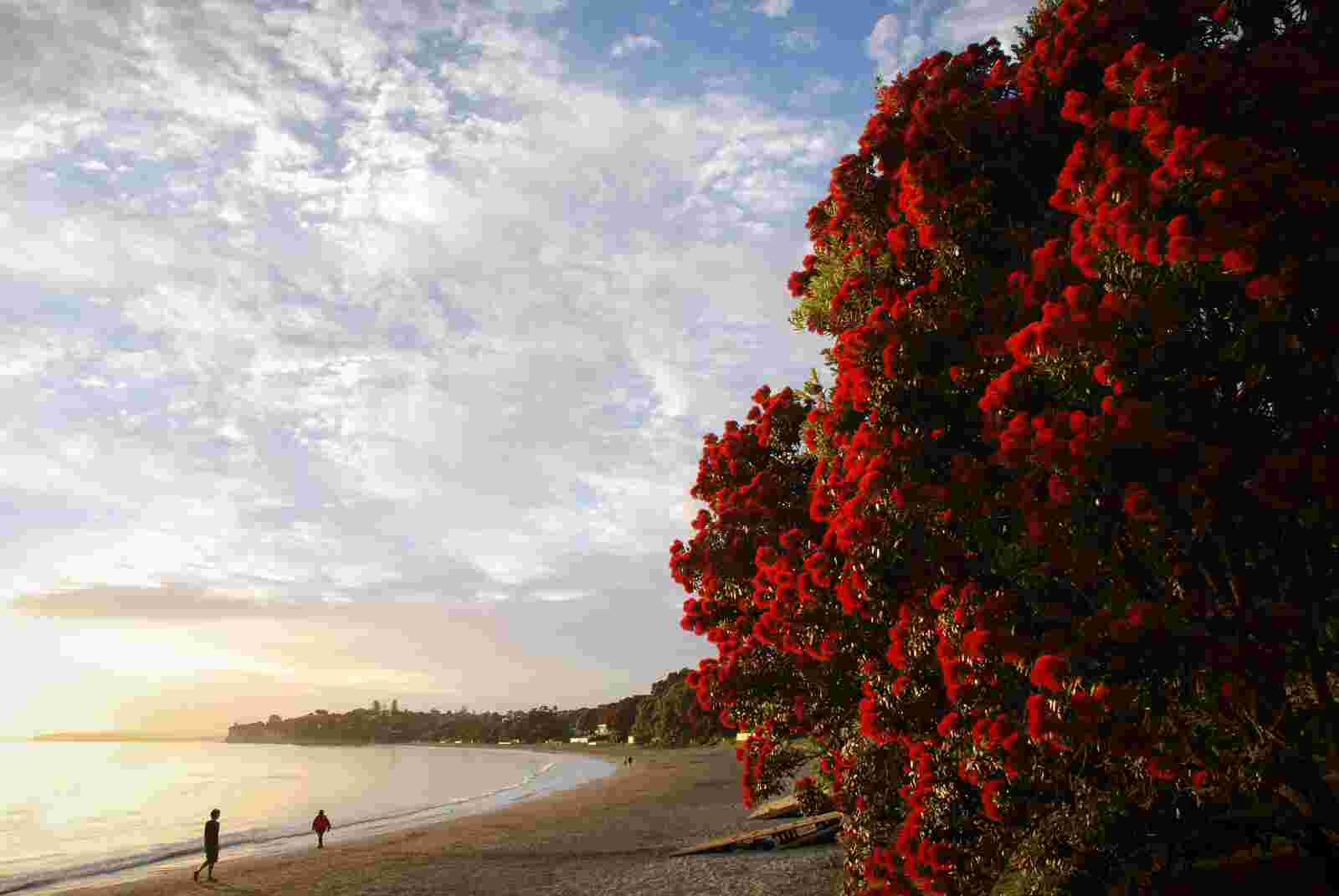 Resident Story: The Joy of Simple Pleasures
